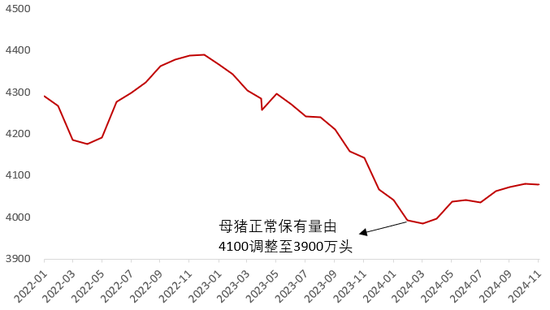 今年的生猪行情怎么看？